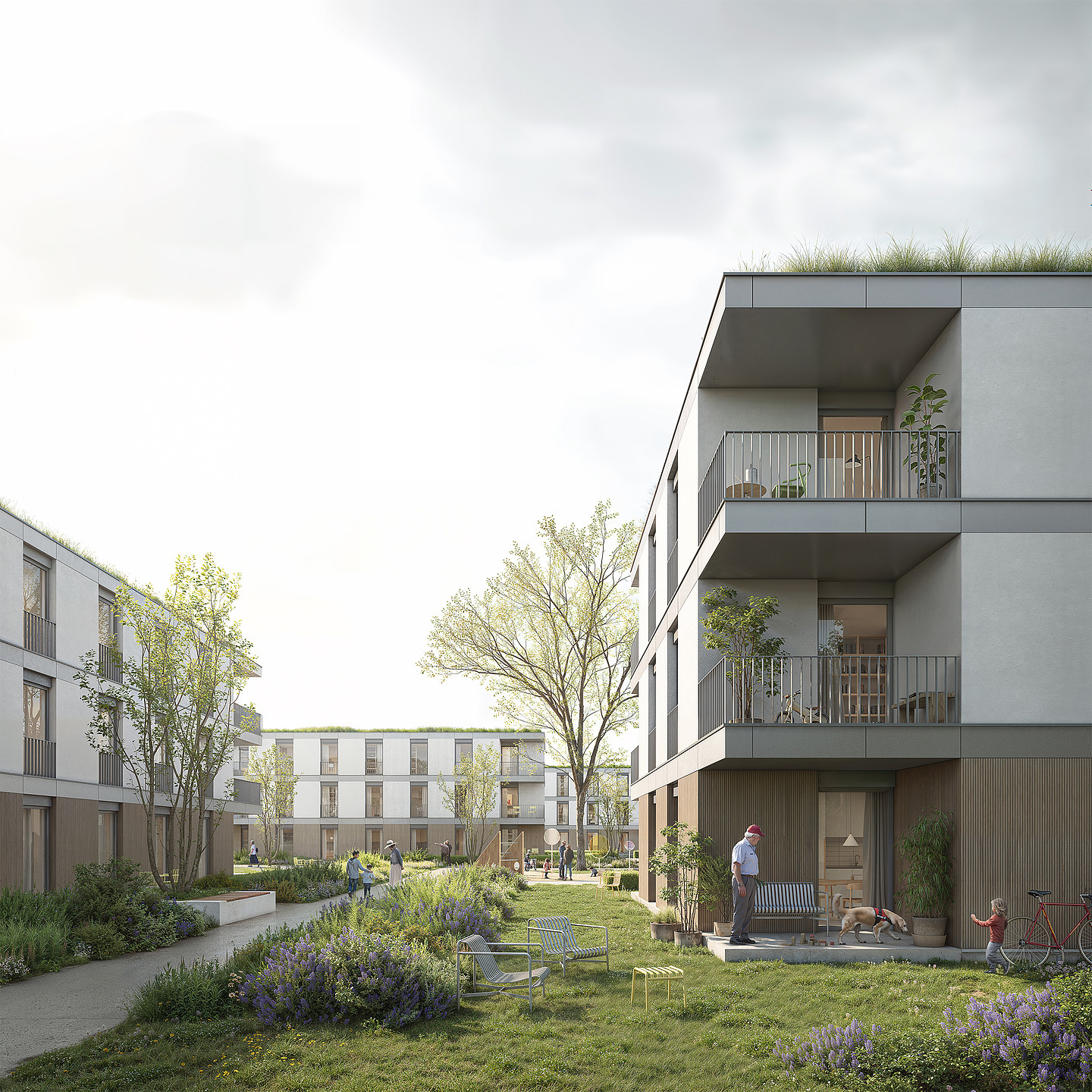 Das Bild zeigt einen Blick auf die Häuser des Quartiers mit der alternativen Fassade in Putz.